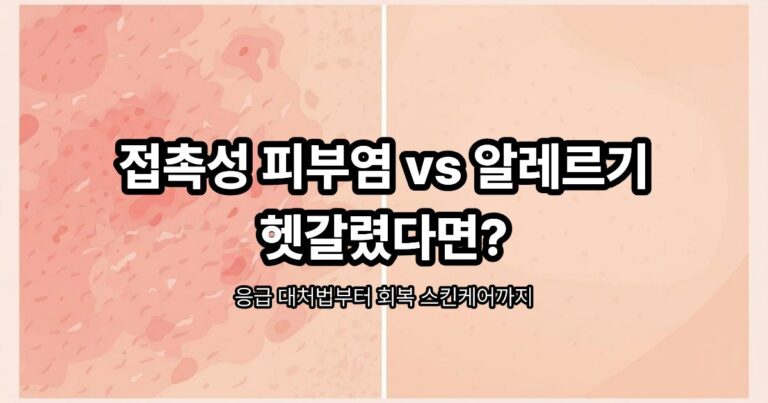 접촉성 피부염과 알레르기 반응의 차이를 비교한 썸네일 이미지