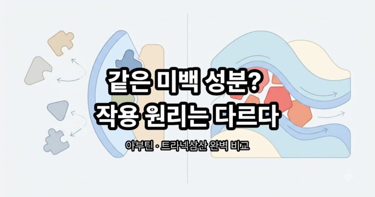 알부틴과 트라넥사민산의 색소침착 개선 효과를 비교한 이미지
