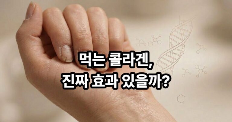 콜라겐 보충제 섭취 후 손톱과 피부 개선 효과를 보여주는 이미지